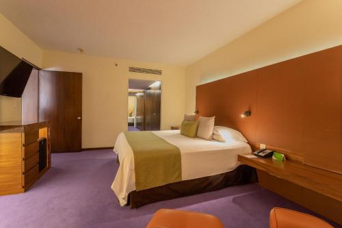 a hotel room with a bed and a television at Camino Real Polanco Mexico in Mexico City