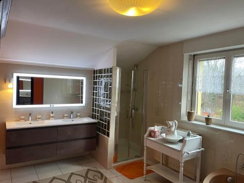La salle de bains est pourvue d'une douche, d'un lavabo et d'un miroir. dans l'établissement Bien être et détente chez côté campagne et jardin, à Ohnenheim