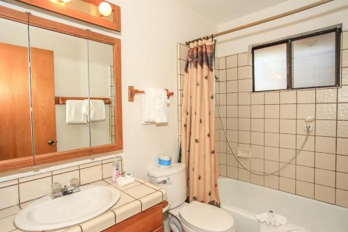a bathroom with a sink and a toilet and a mirror at R & R Retreat - 1767 by Big Bear Vacations in Sugarloaf
