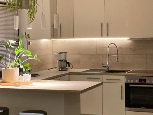 a kitchen with white cabinets and a sink and a stove at Holiday home Treinen Ramona in Riol