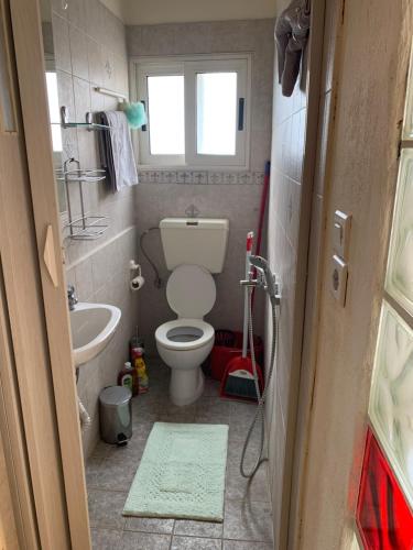 a small bathroom with a toilet and a sink at Athena’s House in Elaión