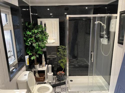 uma casa de banho com um chuveiro e um WC. em Atlanta Hotel em Scarborough