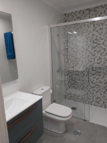 een badkamer met een douche, een toilet en een wastafel bij Apartamento BRUMA DE LUARCA in Luarca