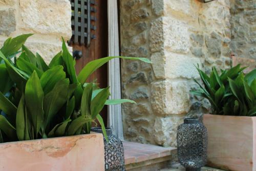 a vase sitting in front of a door with plants at La Lolita ( Adults Only ) in Sant Martí Vell
