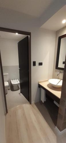 a bathroom with a sink and a toilet at Carpinchos De Otamendi in Campana