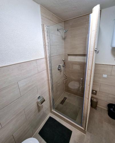 a shower with a glass door in a bathroom at Apartment Villa Engel with Pool in Poreč