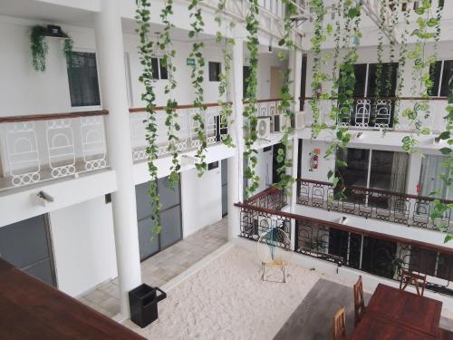 un bâtiment vide avec des plantes au plafond dans l'établissement CASA BARKA, à Playa del Carmen