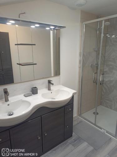 une salle de bain avec un lavabo et une douche dans l'établissement Charmante maison a la ferme, à Bonnes