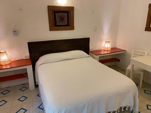 a bedroom with a bed with two tables and two lamps at Hotel La Piazzetta in Mérida