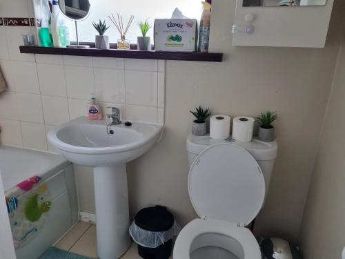 a small bathroom with a toilet and a sink at Brooks Homestay in Dundalk
