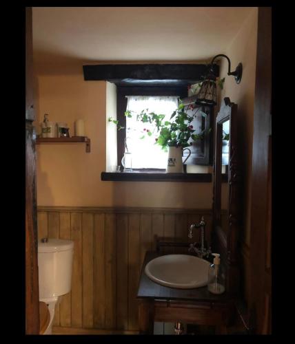 a bathroom with a sink and a toilet and a window at La Saleta in Bejes