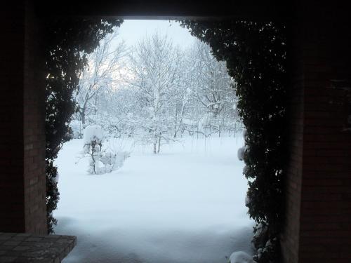 a view of a yard covered in snow at Bed & Breakfast Milù in Cuneo