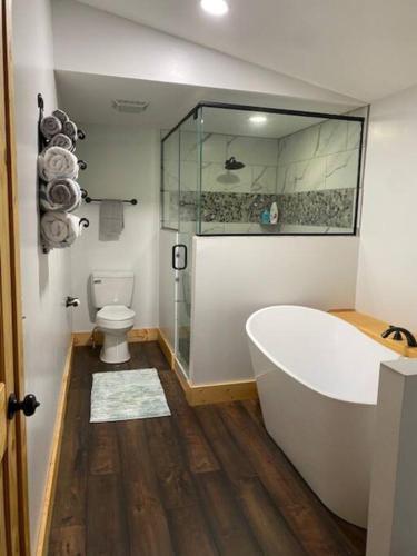 a bathroom with a bath tub and a toilet at Mountain Creek Lodge in Maggie Valley