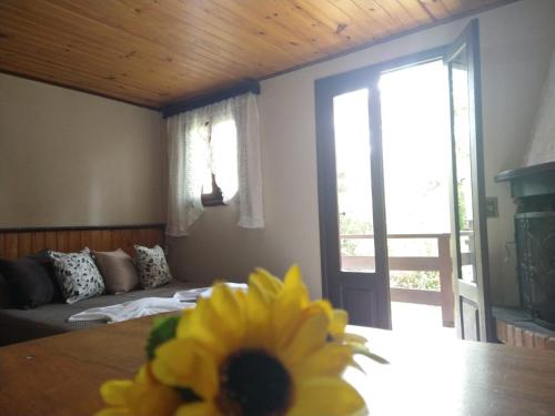 a living room with a yellow flower on a table at Pousada Estrela da Serra in Monte Verde