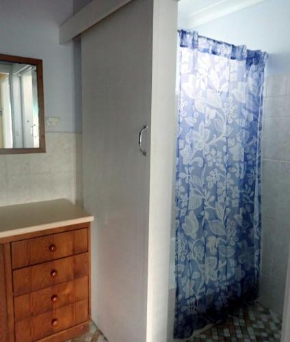 a shower in a bathroom with a blue shower curtain at Surf n View in North Haven