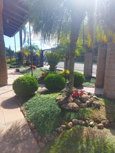 a garden with a palm tree and some bushes at Casa de Pedra-Vale dos Vinhedos -RS in Monte Belo