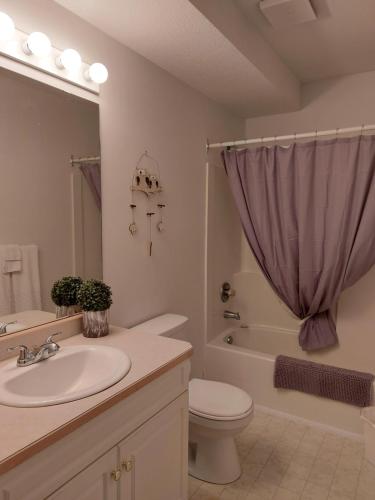 a bathroom with a sink and a toilet and a shower at Richter Pass Beach Resort in Osoyoos