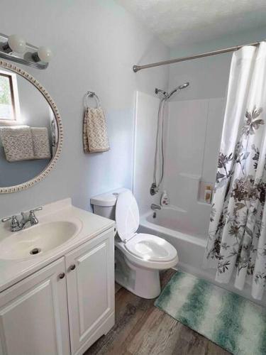 a bathroom with a toilet and a sink and a shower at Charming house in Sevierville Family friendly Quiet location Close to Wilderness in Sevierville