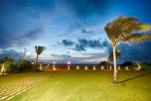 a palm tree in a grassy yard at night at Calypso Sunset in Iranawila