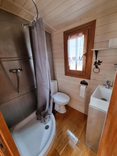 a bathroom with a shower and a toilet and a sink at Roulotte du domaine de la Graou in La Palud sur Verdon