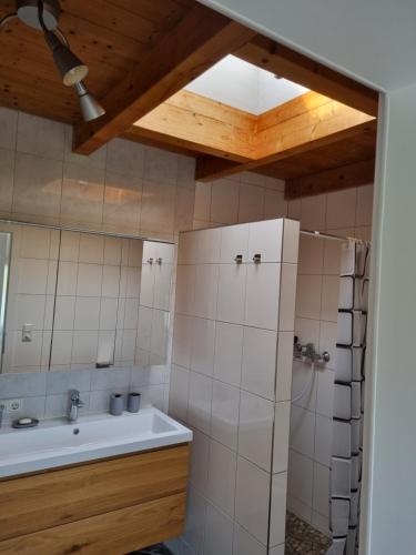 哈德的住宿－Appartement Hard Bodensee，浴室配有盥洗盆、淋浴和盥洗盆。