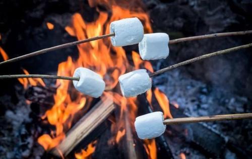 a bunch of marshmallows on sticks over a fire at Sunset Shepherds Hut in Taunton