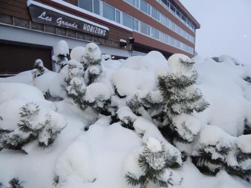a snow covered tree in front of a building at Bel appartement spacieux 44m² à SUPER BESSE pour 6 personnes in Super Besse