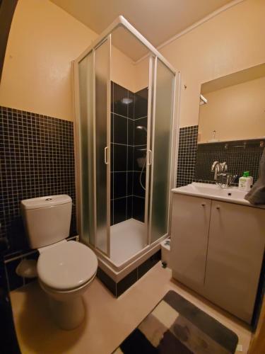 La salle de bains est pourvue de toilettes, d'une douche et d'un lavabo. dans l'établissement Bel appartement spacieux 44m² à SUPER BESSE pour 6 personnes, à Super-Besse