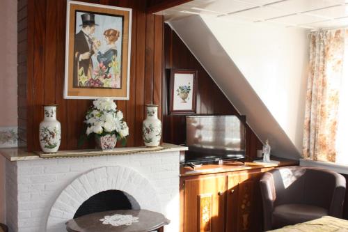sala de estar con chimenea y TV en Chez Aurelia, en Ostende