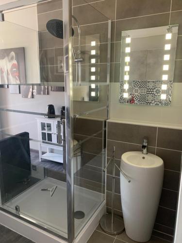 une salle de bain avec une douche en verre et des toilettes dans l'établissement Nid douillet dans les coursives du village naturiste du cap d agde, au Cap d'Agde