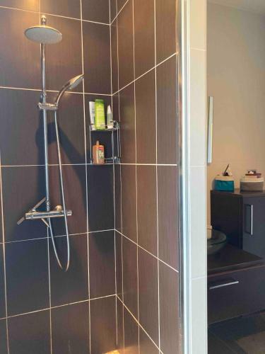 La salle de bains est pourvue d'une douche avec du carrelage brun. dans l'établissement LA CABANE DE L'ESTUAIRE chambres d'hôte, à Meschers-sur-Gironde