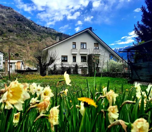 a field of flowers in front of a house at Casa Vacanze Santa Perpetua in Tirano