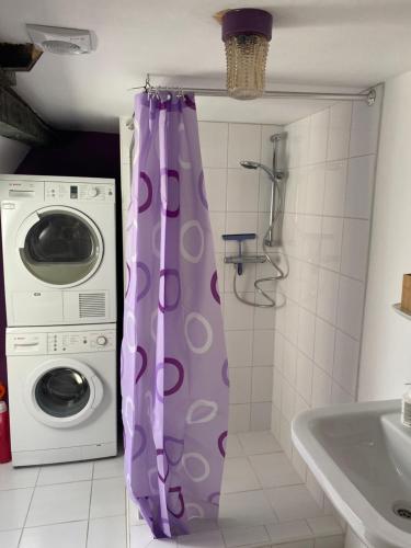 a purple shower curtain in a bathroom with a washing machine at SOEPP hotel & restaurant in Alkmaar