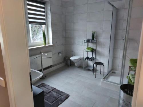 a bathroom with a shower and a toilet and a sink at Zur alten Werkstatt in Schwarzenberg/Erzgebirge