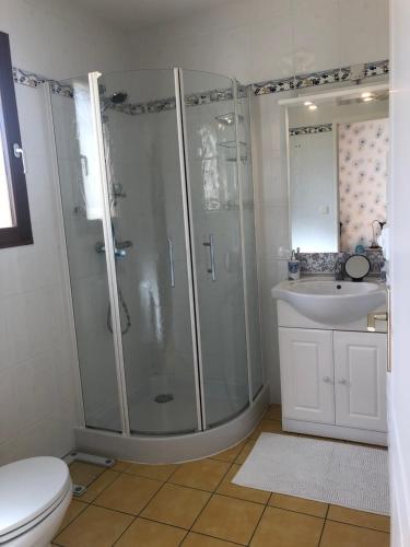 a bathroom with a shower and a toilet and a sink at Aux Trois Mûriers in Villeneuve-sur-Lot