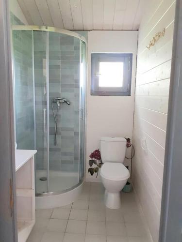 a bathroom with a toilet and a glass shower at Kiszkowianka domki in Skrzeszewo