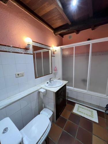a bathroom with a toilet and a sink and a shower at Casa Torres in Cruces