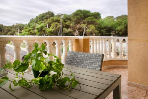 Φωτογραφία από το άλμπουμ του Hotel ParqueMar σε Guardamar del Segura