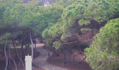 Φωτογραφία από το άλμπουμ του Hotel ParqueMar σε Guardamar del Segura
