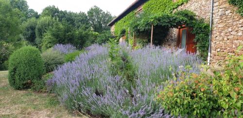 Gallery image of L'Estivante in Saint-Austremoine