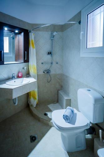a bathroom with a toilet and a shower and a sink at Mirimar Apartments in Alikanas