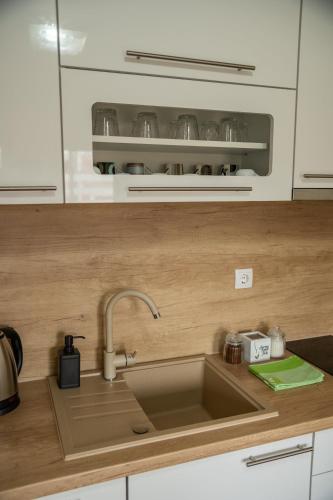 a kitchen counter with a sink and a microwave at Apartmani Lotus Vrdnik in Vrdnik