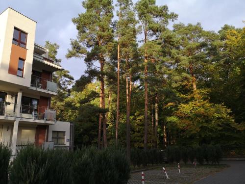 Nadmorski apartament w lesie