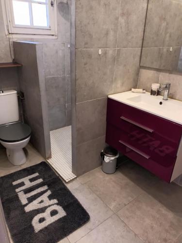 a bathroom with a sink and a toilet and a shower at Chambres tomate, dans maison avec petit escalier et Stanna, à 6km du festival de piano de la roque d'anthéron in Rognes