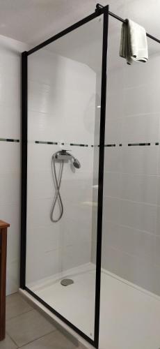 a shower with a glass door in a bathroom at La Maison des Escargots in Blanzay
