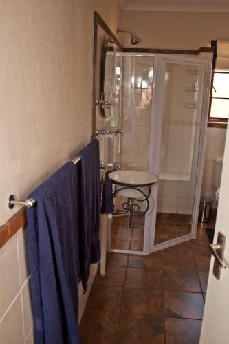 a bathroom with a shower and a sink with blue towels at Stone Hill in Magaliesburg