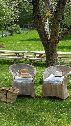 Κήπος έξω από το Domaine Pyrénées Passions - Gîtes de Charmes & Caractère