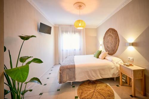a bedroom with a bed and a potted plant at La Posada Hospedería in Vejer de la Frontera