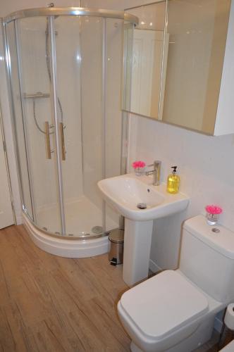 a bathroom with a shower and a sink and a toilet at No.34 Apartment in Perth