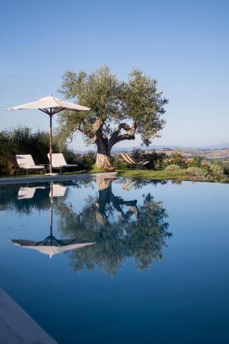 a swimming pool with a tree and an umbrella at Poggio Piglia in Chiusi